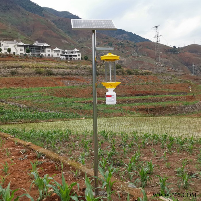 頻振式太陽能殺蟲燈價(jià)格 LED頻振式太陽能殺蟲燈廠家托普云農(nóng)