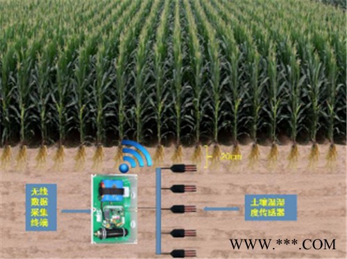 賽亞斯SYM-TDRS 土壤墑情在線監(jiān)測(cè)系統(tǒng)