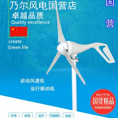 S2型風(fēng)力發(fā)電機(jī)100w~300W12V/24V微風(fēng)啟動(dòng)風(fēng)光互補(bǔ)路燈家用風(fēng)能