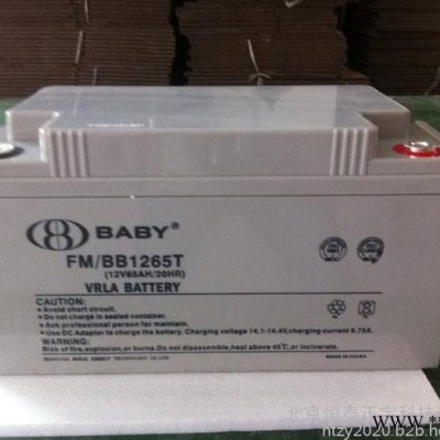 鴻貝BABY蓄電池FM/BB12120T 12V120AH/10HR消防蓄電池UPS蓄電池 光伏發(fā)電 應急電源電池