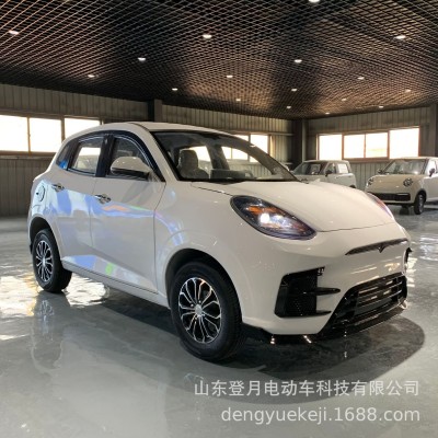 電動(dòng)轎車電動(dòng)四輪車家用代步車油電兩用冷暖空調(diào)新能源低速電瓶車